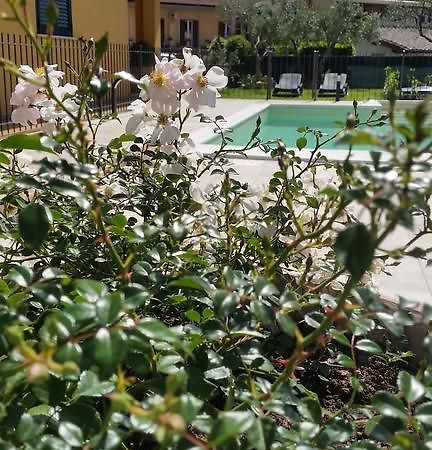 Residenza Cieloterra Casa de hóspedes Rivotorto Exterior foto
